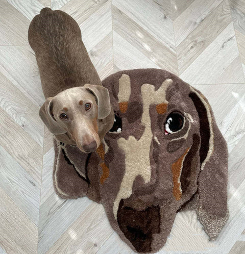 Pet Cashmere Carpet - Dachshund Dog