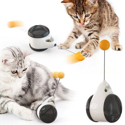 Paws & Son™ ActiveCat - cat activation toy-0